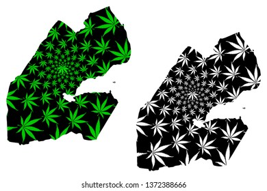 Djibouti - map is designed cannabis leaf green and black, Republic of Djibouti (Horn of Africa) map made of marijuana (marihuana,THC) foliage,