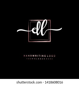 DL initial signature logo. handwriting logo template vector,