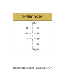 D-Manose esquelética estrutura diagrama.Molécula de composto de açúcar ilustração científica.
