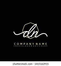DN Initial handwriting logo concept