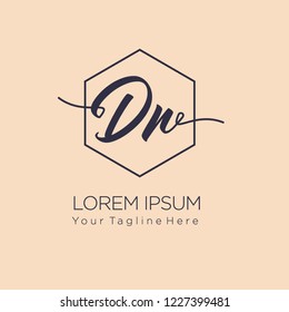 DN Initial handwriting logo on hexagon line, vector illustration