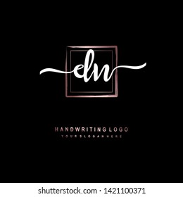 DN initial signature logo. handwriting logo template vector,