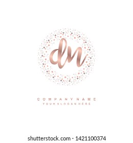DN initial signature logo. handwriting logo template vector,