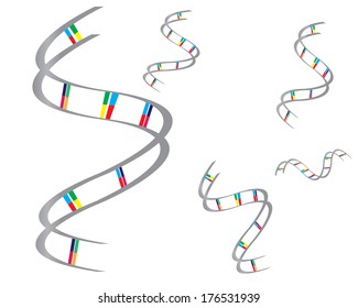 DNA