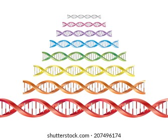 DNA