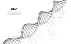 DNA. Abstract 3d polygonal wireframe DNA molecule. Medical science, genetic biotechnology, chemistry biology, gene cell concept vector illustration or background. innovation technology concept