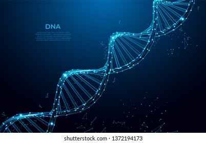 DNA. Abstract 3d polygonal wireframe DNA molecule. Medical science, genetic biotechnology, chemistry biology, gene cell concept vector illustration or background. innovation technology concept - Shutterstock ID 1372194173