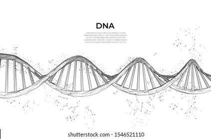 DNA. Abstract 3d polygonal wireframe DNA molecule. Science, genetic biotechnology, chemistry biology, gene cell concept vector illustration. innovation technology concept