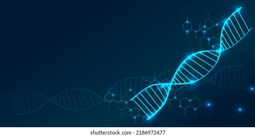 DNA. Abstract 3d polygonal wireframe DNA molecule helix spiral on blue. Medical science, genetic biotechnology, chemistry biology, gene cell concept vector illustration or background