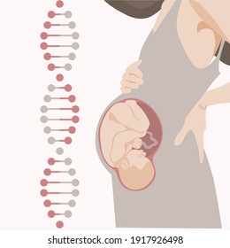 DNA analysis to detect abnormalities in fetal development during pregnancy. dna test during pregnancy to establish paternity. image of a pregnant woman with a fetus inside the abdomen.