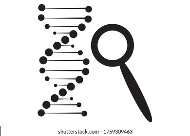 DNA analysis icon, genetics testing. dna chain in magnifying glass sign. genetic engineering, cloning, paternity testing. vector illustration