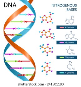 Dna bases chemistry biochemistry and biotechnology science symbol poster vector illustration