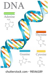 DNA biology