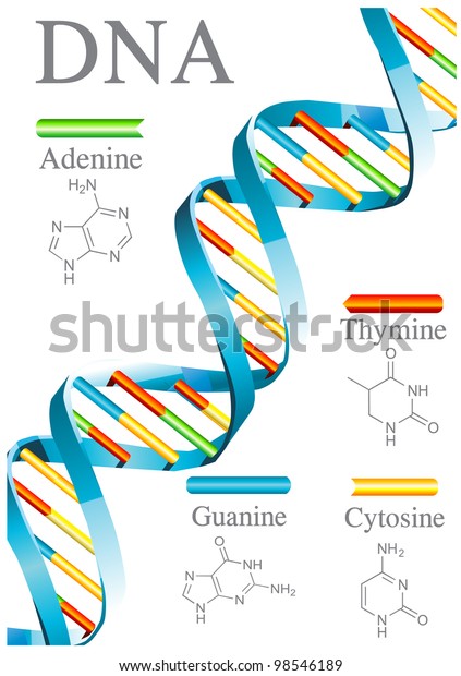 Dna生物学 のベクター画像素材 ロイヤリティフリー