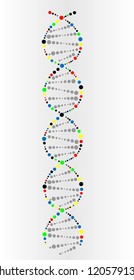 DNA biology vector