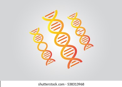 DNA and Broken DNA  