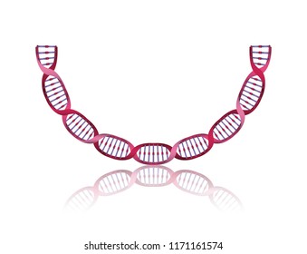 dna chain with curve science colorful icon