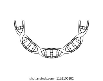 dna chain with curve science icon