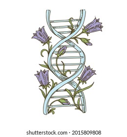 DNA Chain Decorated With Flowers. Color. Engraving Style. Vector Illustration.