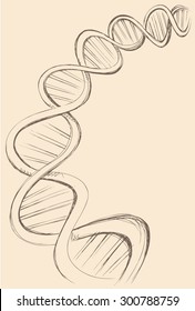 DNA chain in develop, functioning and reproduction of living organisms and many viruses. Vector freehand ink drawn backdrop sketch in art doodle style pen on paper. View close-up with space for text