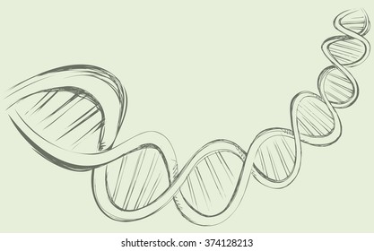 DNA chain in develop, functioning and reproduction of living organisms and many viruses. Vector freehand ink drawn backdrop sketch in art doodle style pen on paper. View close-up with space for text