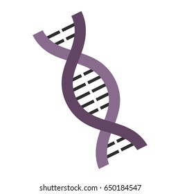 dna chain icon