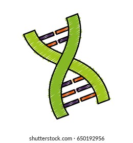 dna chain icon