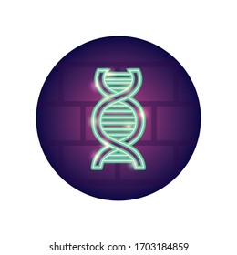DNA chain icon over white background, neon style, vector illustration