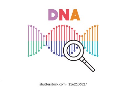 dna chain with magnifying glass