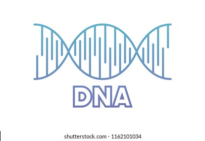 dna chain science icon