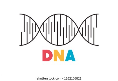 dna chain science icon