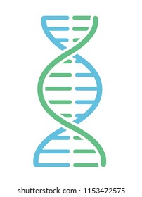 DNA chains, green and blue color