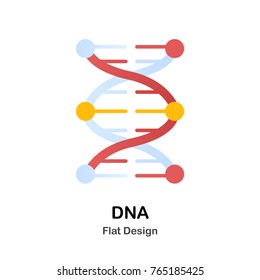 DNA Chromosome Flat vector Illustration