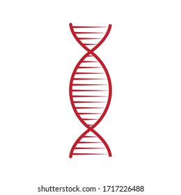 DNA or chromosome icon design isolated on white background