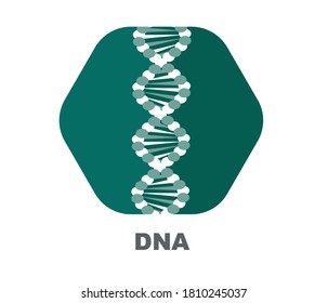 DNA chromosome, logo vector design element
