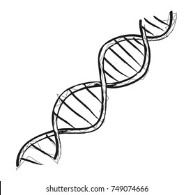 DNA code structure with chromosomes radiate light line sketch. Vector illustration of gene code icon isolated on white background