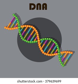 DNA color on a gray background