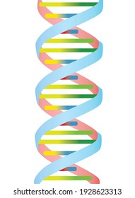 DNA colorful shape. vector illustration