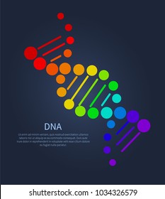 DNA colorful sign on poster with place for text, deoxyribonucleic acid chain carrying genetic instructions used in functioning and reproduction vector