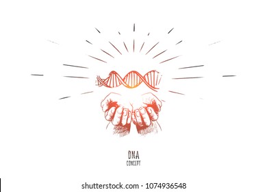 DNA concept. Hand drawn human hands with symbol of DNA. Structure of DNA isolated vector illustration.