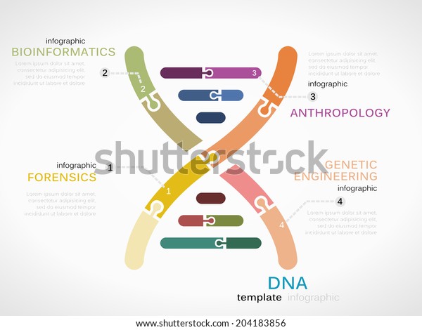 https www shutterstock com image vector dna concept infographic template genetic chain 204183856