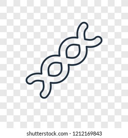 Dna concept vector linear icon isolated on transparent background, Dna concept transparency concept in outline style