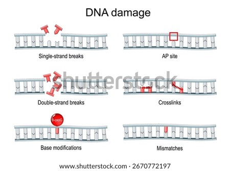 DNA damage. Genetic mutation. Detailed vector poster