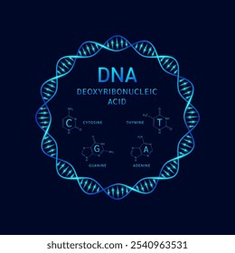 DNA ou ácido desoxirribonucleico gene de dupla hélice e estrutura adenina timina guanina citosina. Combinação de biologia genética sintética das células do núcleo dos cromossomas. Vetor de ciência médica.