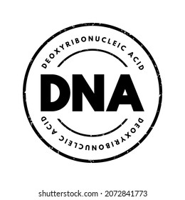 DNA Deoxyribonucleic Acid - hereditary material in humans and almost all other organisms, acronym text stamp