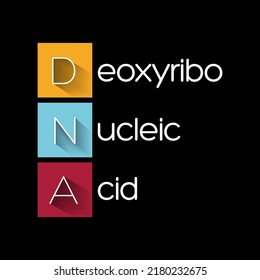 DNA Deoxyribonucleic Acid - hereditary material in humans and almost all other organisms, acronym text concept background