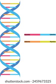 DNA design in medical, DNA scientific, DNA with Details, DNA sign molecules helix, Medical Science, Graphic geometric, Genetically modified