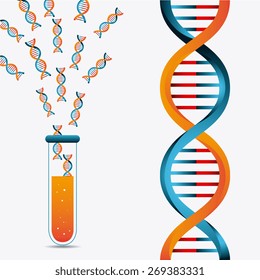 DNA design over white background, vector illustration.