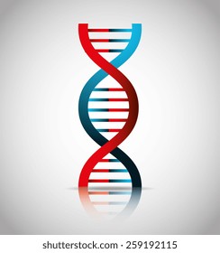 DNA design over white background,vector illustration.