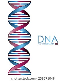 DNA design, vector illustration.